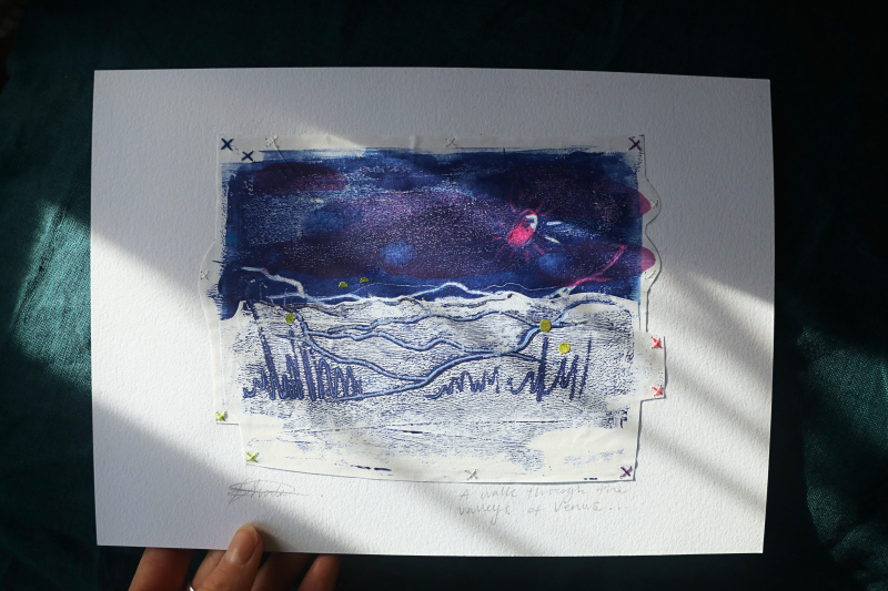 'A Walk through The Valleys of Venus' 
